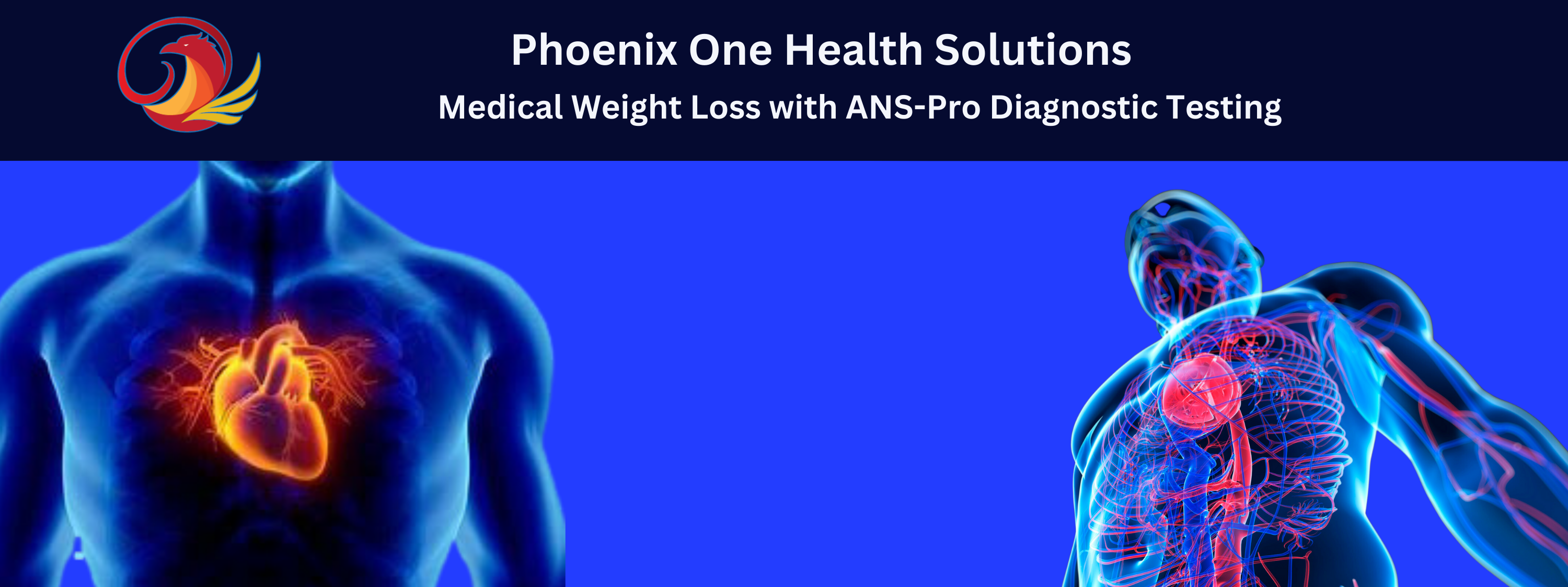 Medical Weight Loss Program with ANS-Pro Diagnostics